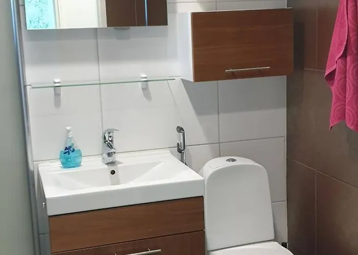 Apartamento River Landscape Close To The Centre, Himos 8km Jämsä