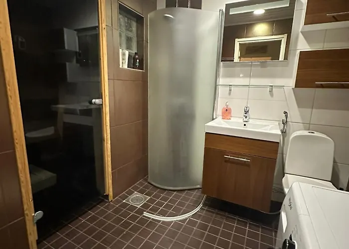 River Landscape Close To The Centre, Himos 8km Apartamento Jämsä